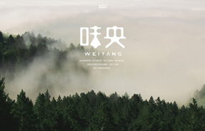 高(gāo)端網站(zhàn)建設案例