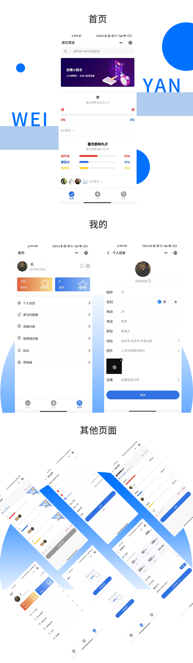 謂言票(piào)選網站(zhàn)效果圖